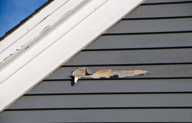 Best Vinyl Siding Installation  in La Honda, CA