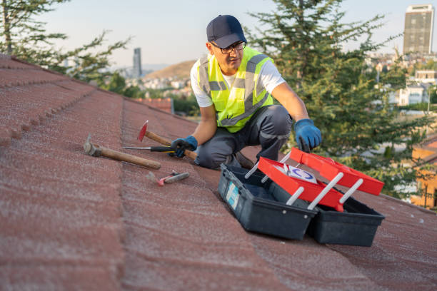 Best Wood Siding Installation  in La Honda, CA